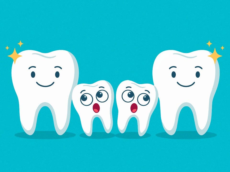 2 Large teeth surrounding 2 small teeth