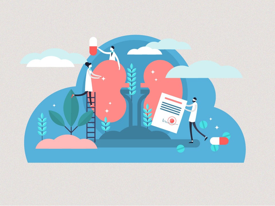 Medical workers working on lungs